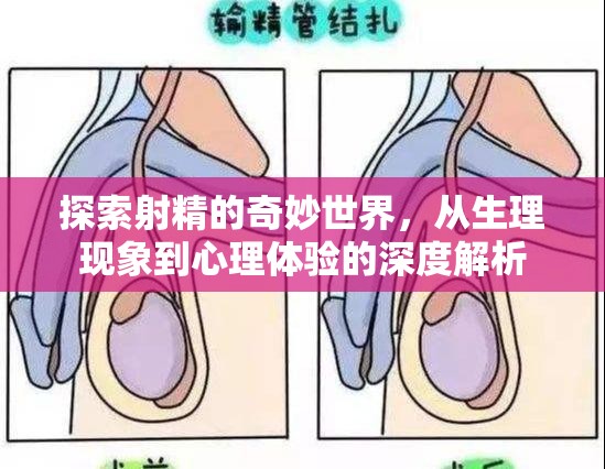 射精奧秘，生理與心理的深度探索