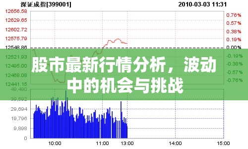 股市動態(tài)，把握波動中的投資機遇與風險