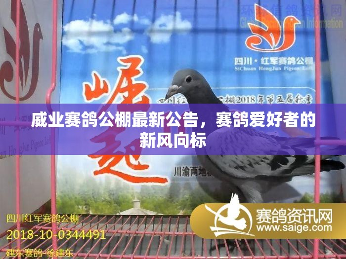 威業(yè)賽鴿公棚最新公告，賽鴿愛(ài)好者的新風(fēng)向標(biāo)