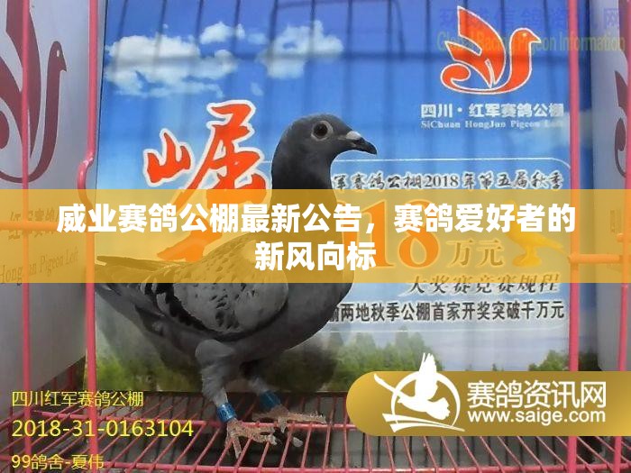 威業(yè)賽鴿公棚最新公告，賽鴿愛(ài)好者的新風(fēng)向標(biāo)