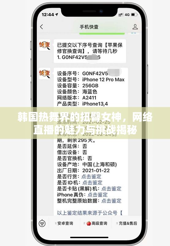 韓國舞界的網(wǎng)絡(luò)直播女神，扭臀魅力與挑戰(zhàn)
