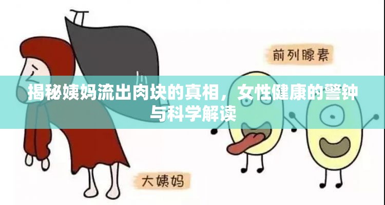 女性健康警示，揭秘月經(jīng)期間肉塊流出的真相與科學(xué)解釋