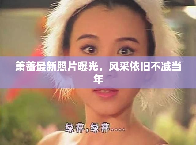 蕭薔魅力依舊，最新照片展現(xiàn)不減當(dāng)年的風(fēng)采