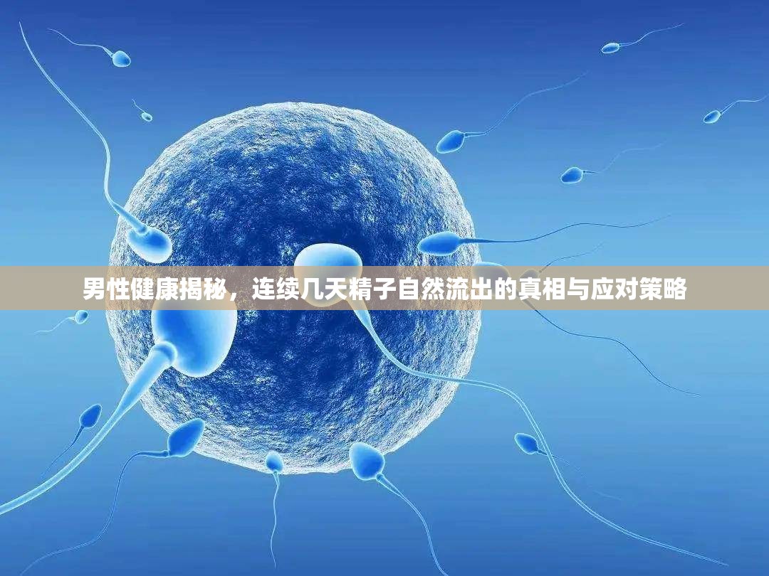 男性健康揭秘，連續(xù)精子自然流出的原因及應(yīng)對(duì)方法