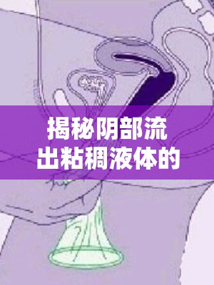 揭秘陰部流出粘稠液體的真相與應(yīng)對(duì)策略