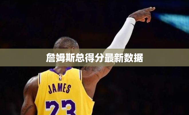 詹姆斯總得分最新數(shù)據(jù)概覽