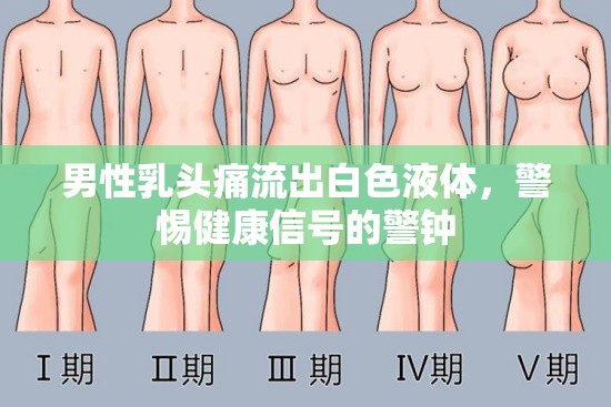 男性乳頭痛流出白色液體，警惕健康信號的警鐘