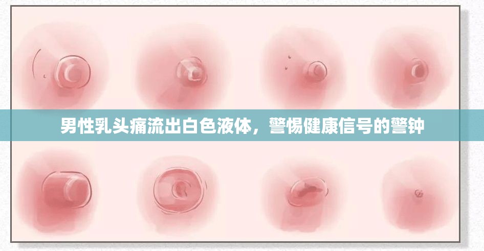 男性乳頭痛流出白色液體，警惕健康信號的警鐘