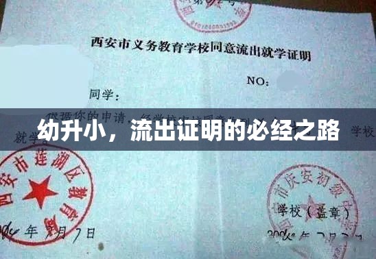 幼升小，辦理流出證明的詳細指南