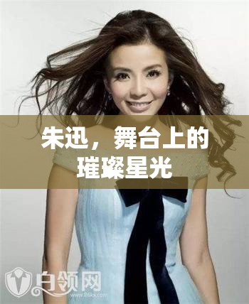朱迅，舞臺(tái)上的璀璨星光