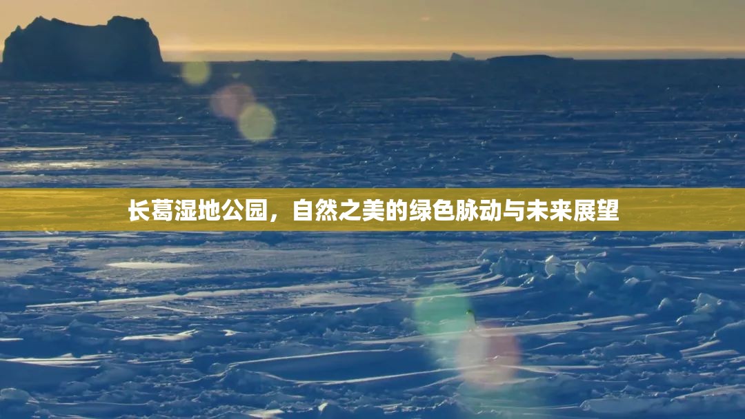 長(zhǎng)葛濕地公園，自然之美的綠色脈動(dòng)與未來展望