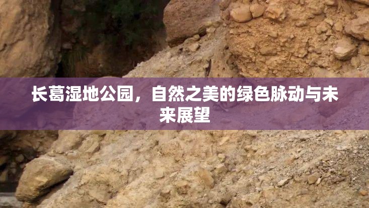 長(zhǎng)葛濕地公園，自然之美的綠色脈動(dòng)與未來展望