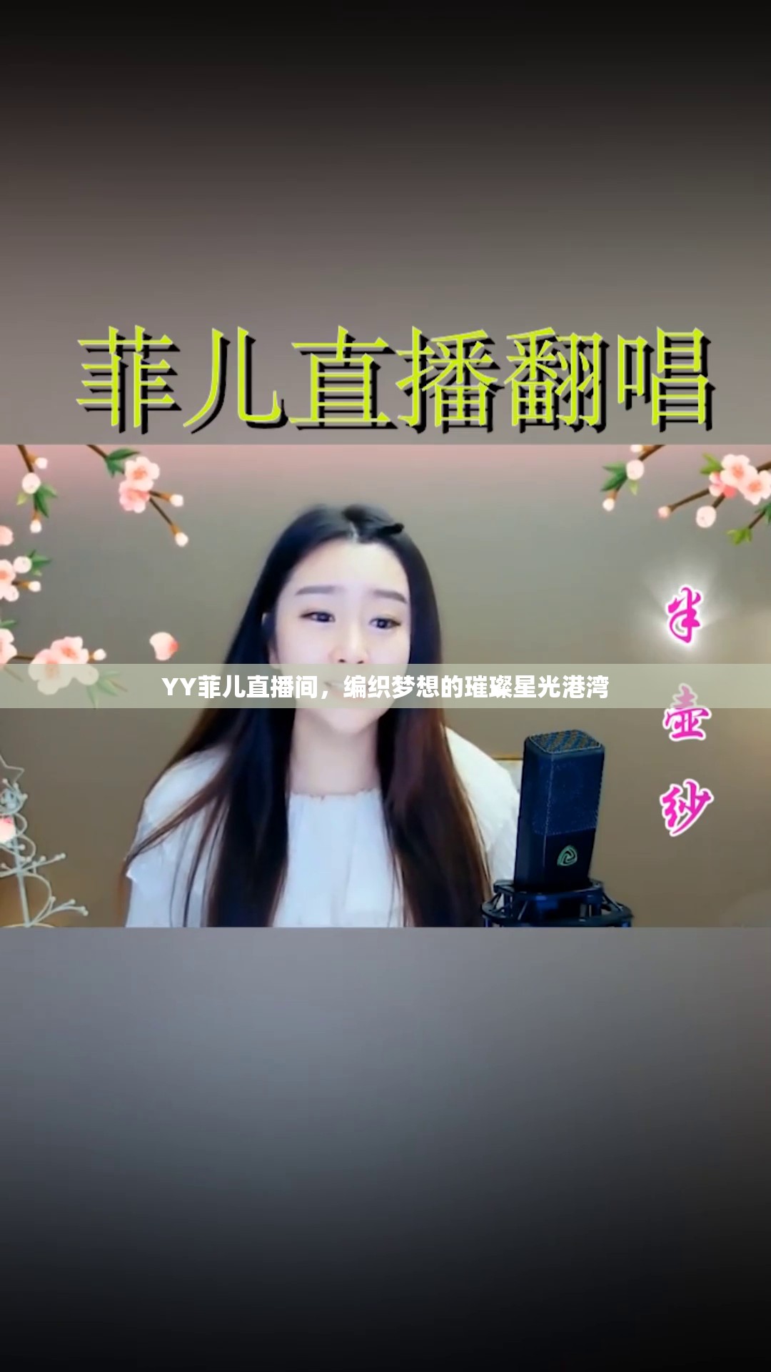 YY菲兒，星光璀璨的夢(mèng)想編織港灣