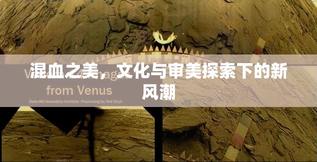混血之美，文化與審美探索下的新風(fēng)潮