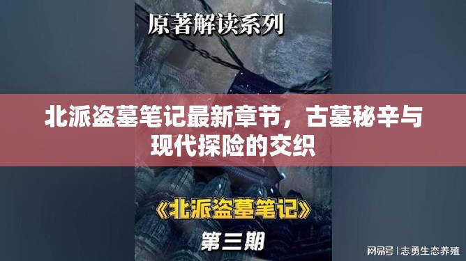北派盜墓筆記，古墓秘辛與現(xiàn)代探險的冒險之旅