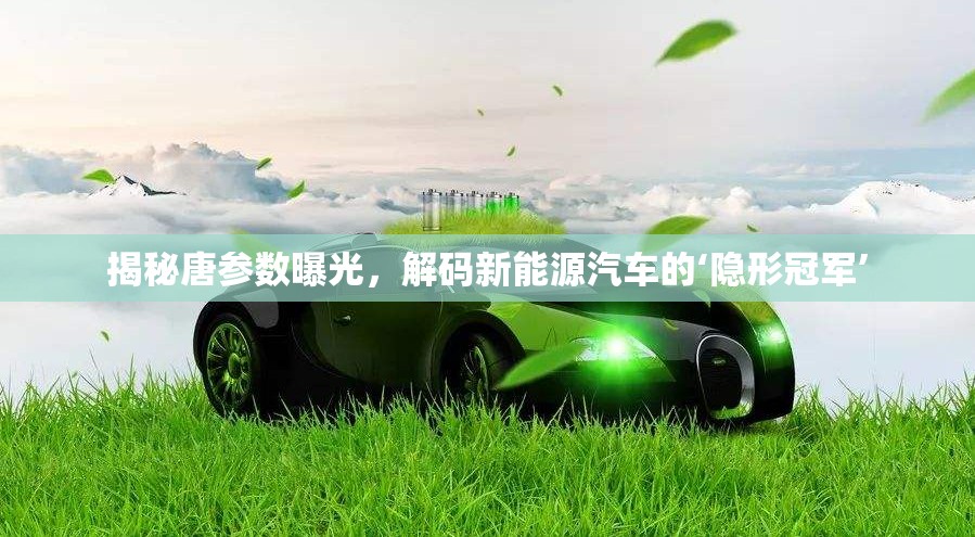 揭秘唐參數(shù)曝光，解碼新能源汽車的‘隱形冠軍’