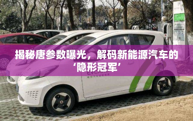 揭秘唐參數(shù)曝光，解碼新能源汽車的‘隱形冠軍’