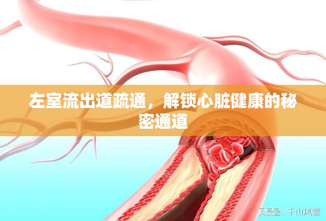 左室流出道疏通，解鎖心臟健康的秘密通道
