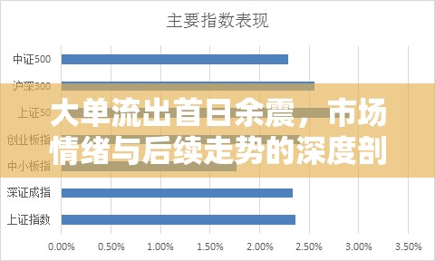 市場余震，首日大單流出后的情緒波動與未來趨勢解析