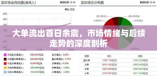 市場余震，首日大單流出后的情緒波動與未來趨勢解析