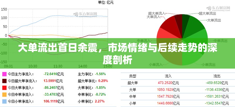 市場余震，首日大單流出后的情緒波動與未來趨勢解析