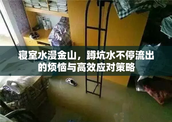 寢室水漫金山，蹲坑水不停流出的煩惱與高效應(yīng)對(duì)策略