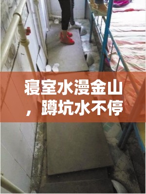 寢室水漫金山，蹲坑水不停流出的煩惱與高效應(yīng)對(duì)策略
