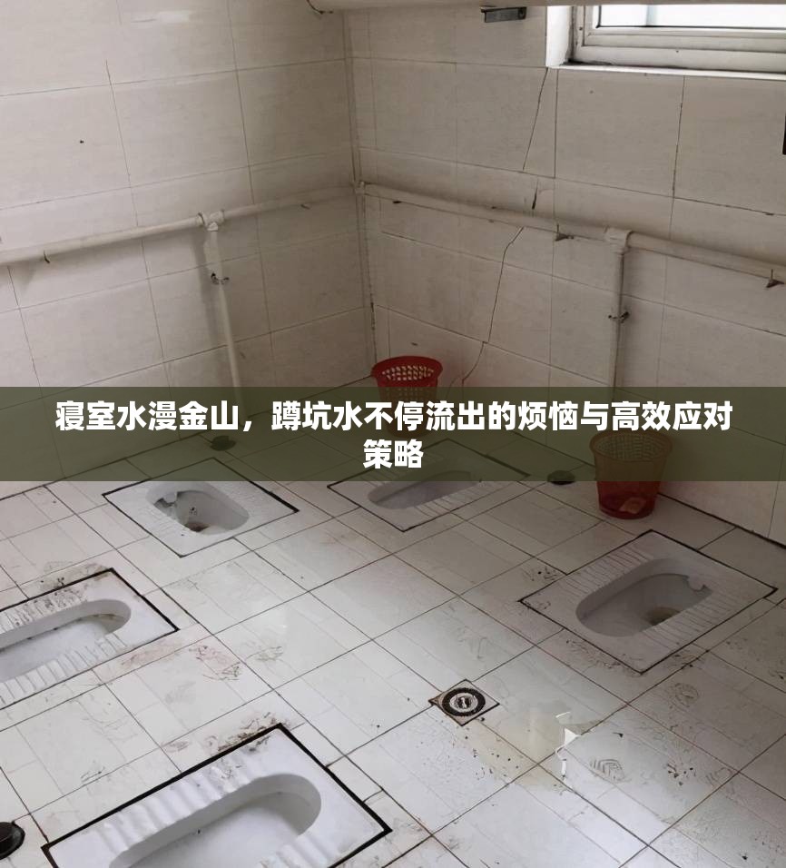 寢室水漫金山，蹲坑水不停流出的煩惱與高效應(yīng)對(duì)策略