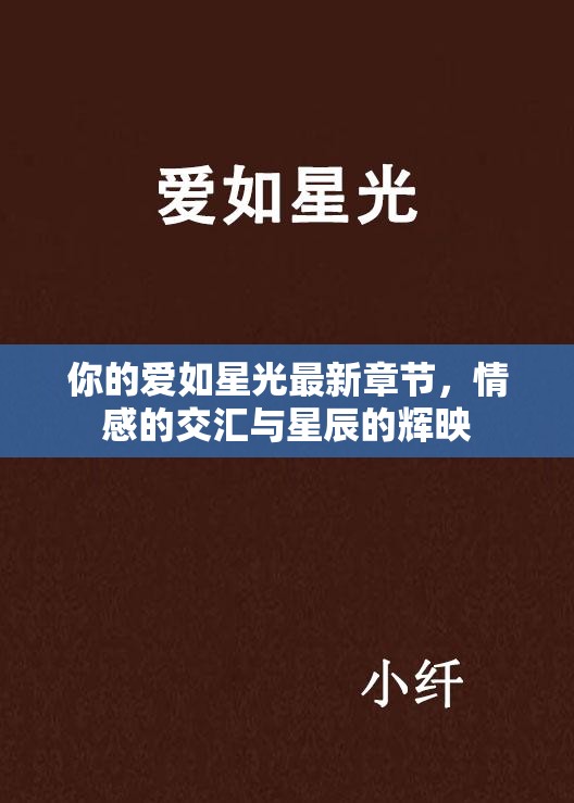 星光下的情感交織，你的愛如星光最新章節(jié)賞析