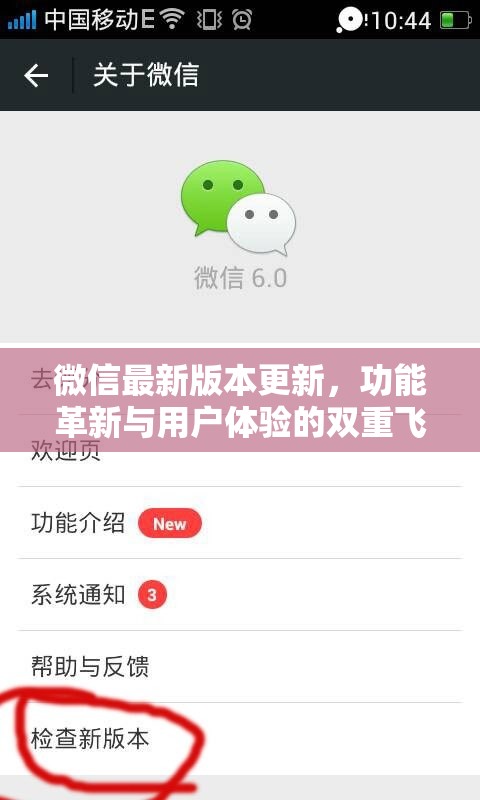 微信最新版本更新，功能革新與用戶體驗(yàn)的雙重飛躍