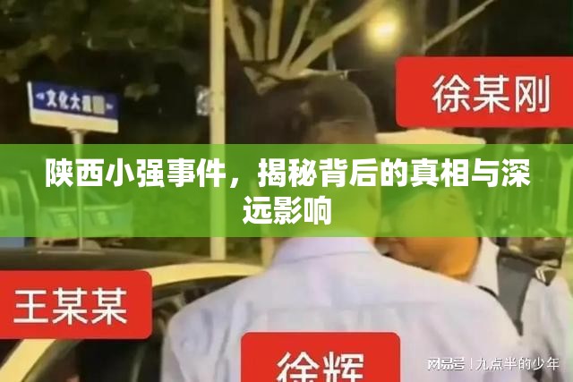 陜西小強事件，真相探究與社會影響分析