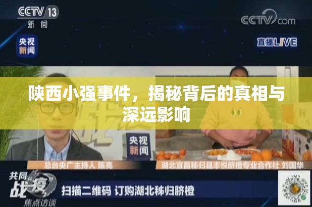 陜西小強事件，真相探究與社會影響分析