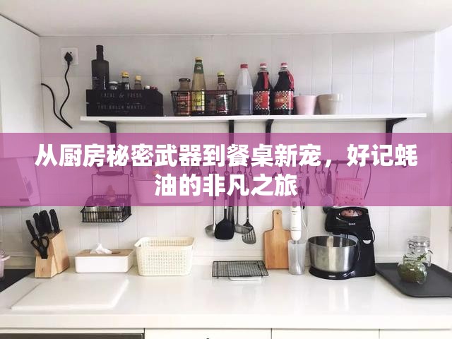 好記蠔油，廚房的秘密武器與餐桌的新寵