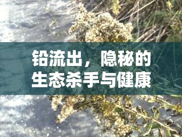 鉛污染，生態(tài)與健康的隱秘威脅