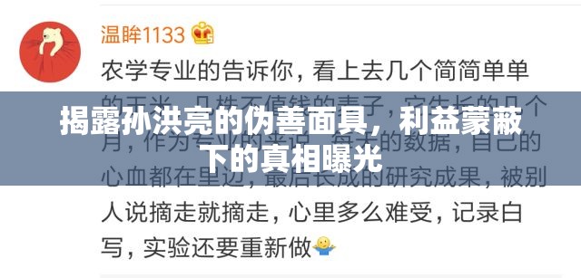 揭露孫洪亮的偽善面具，利益蒙蔽下的真相曝光