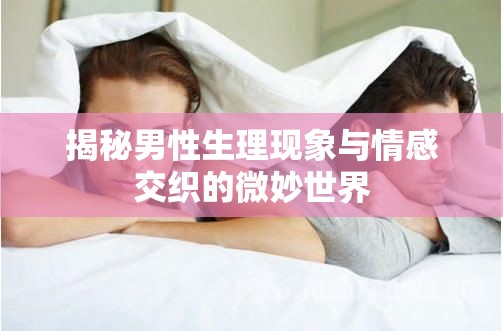 男性生理與情感，探索交織的微妙世界