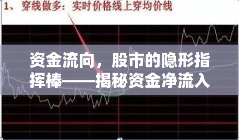 股市資金動(dòng)態(tài)，揭秘凈流入與凈流出的關(guān)鍵影響