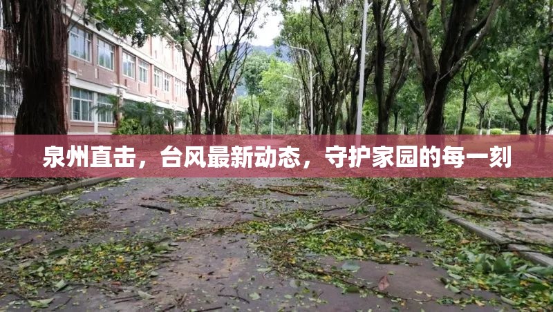 泉州直擊，臺(tái)風(fēng)最新動(dòng)態(tài)，守護(hù)家園的每一刻