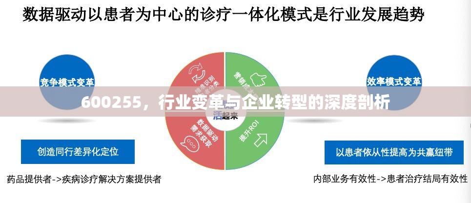 600255，行業(yè)變革與企業(yè)轉(zhuǎn)型的深度剖析
