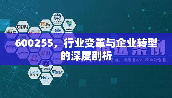 600255，行業(yè)變革與企業(yè)轉(zhuǎn)型的深度剖析