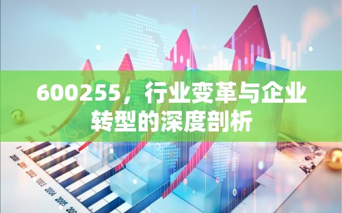 600255，行業(yè)變革與企業(yè)轉(zhuǎn)型的深度剖析