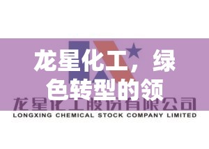 龍星化工，綠色轉型的領航者——最新動態(tài)與未來展望