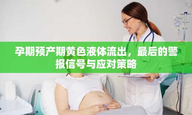 孕期異常，黃色液體流出的預(yù)警信號(hào)與緊急應(yīng)對(duì)措施