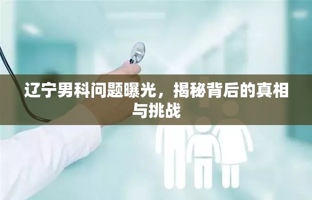遼寧男科問(wèn)題深度調(diào)查，揭露真相與應(yīng)對(duì)挑戰(zhàn)