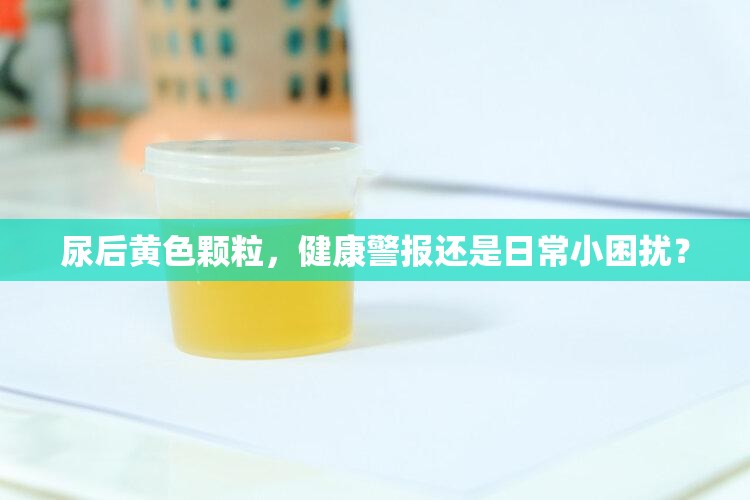 尿后黃色顆粒，健康警報(bào)還是日常小困擾？