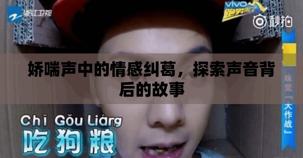 聲動(dòng)心弦，揭秘情感糾葛背后的故事