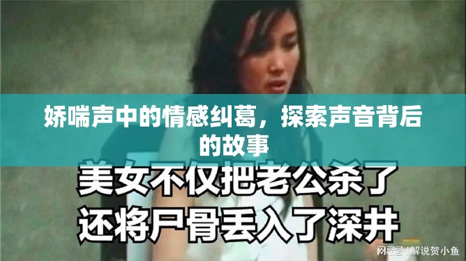 聲動(dòng)心弦，揭秘情感糾葛背后的故事