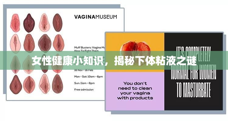 女性健康指南，探索下體粘液的秘密