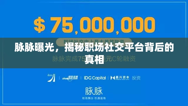 脈脈曝光，揭秘職場社交平臺背后的真相