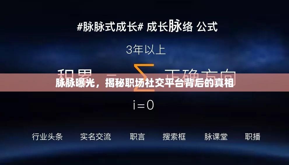 脈脈曝光，揭秘職場社交平臺背后的真相